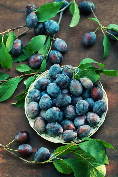 Fresh plums — Stock Photo, Image