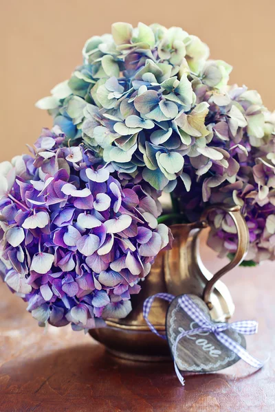 Paarse hortensia bloemen — Stockfoto