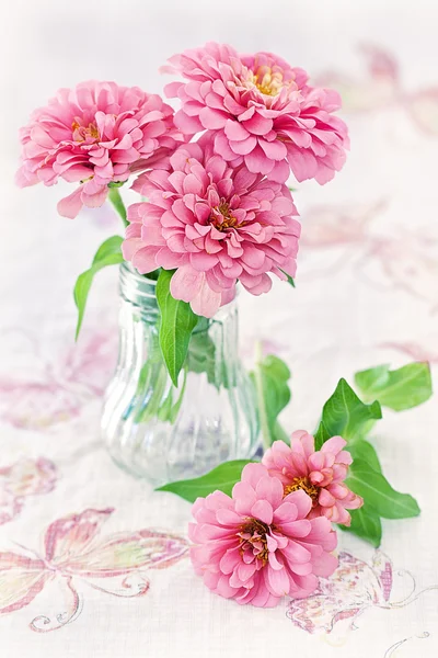 Roze bloemen — Stockfoto