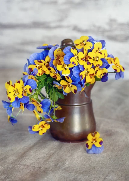 照片上的美丽的潘西花在一个浅色背景的杯子中的特写 美丽娇嫩的花朵 — 图库照片