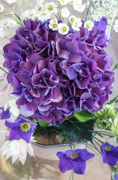 Krásné Fialové Hortenzie Květiny Váze Stole Stock Fotografie