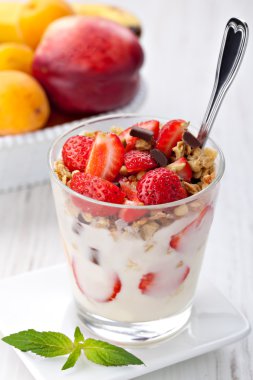 Yoğurtlu müsli