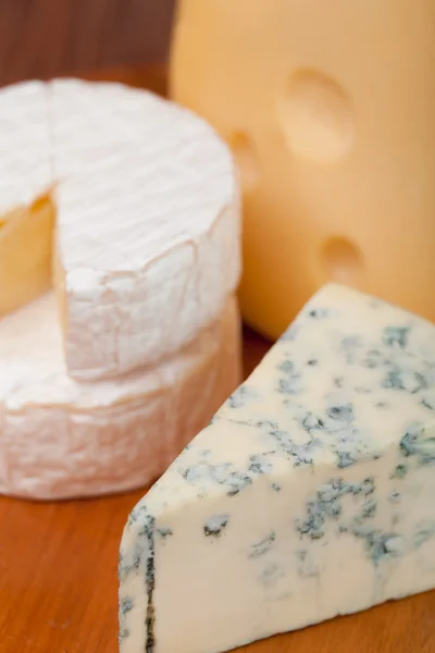 Delicious cheese — Stock Photo, Image