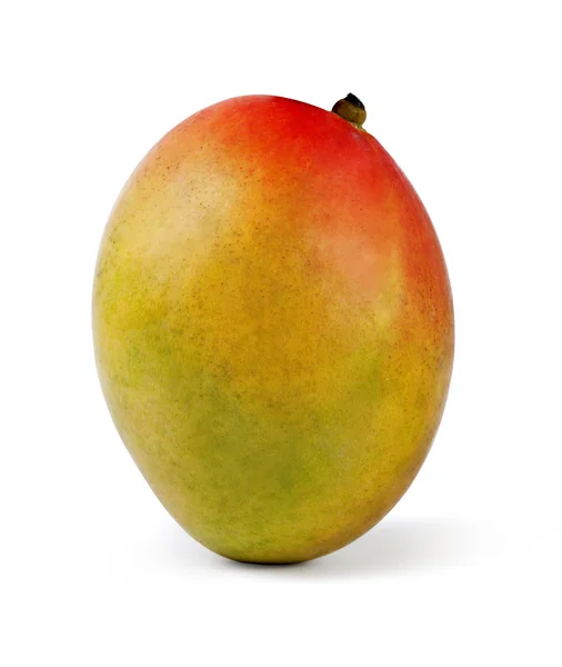 Mango — Stock Photo, Image