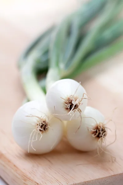 Spring onions — Stock Photo, Image