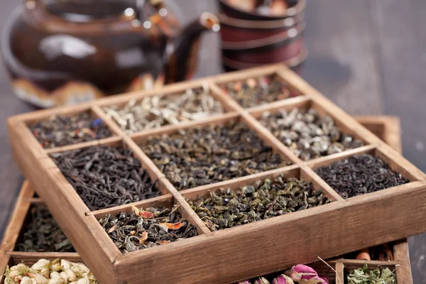 Auswahl an trockenem Tee — Stockfoto