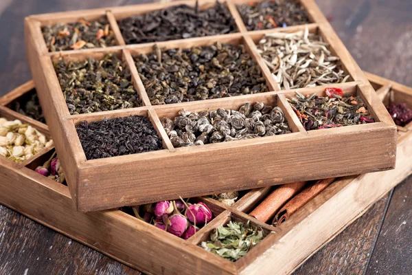 Assortment of dry tea — Stock Photo, Image