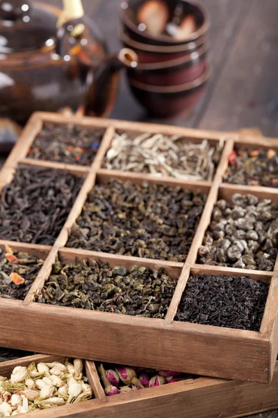 Assortment of dry tea — Stock Photo, Image