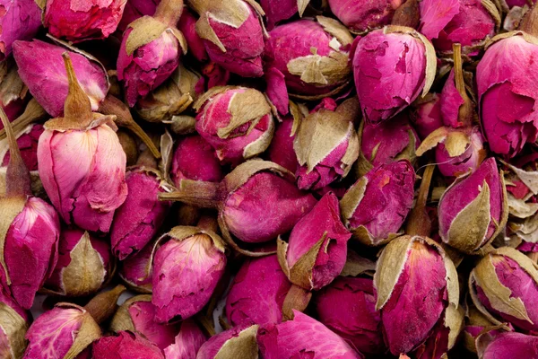 Dried roses — Stock Photo, Image