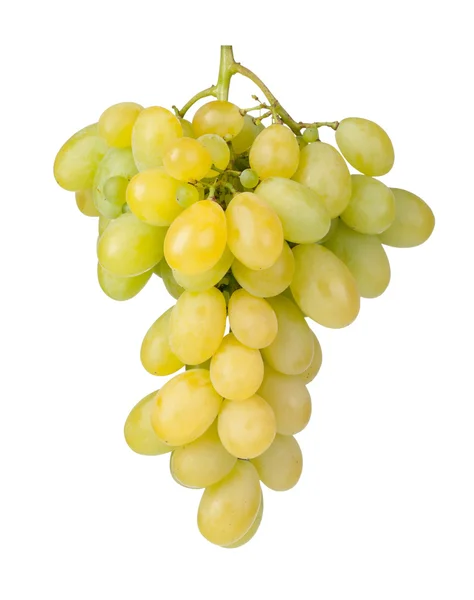 Branch of green grapes — Stock Photo, Image