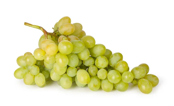 Branch of green grapes — Stock Photo, Image