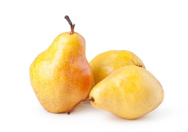 Pear clipart