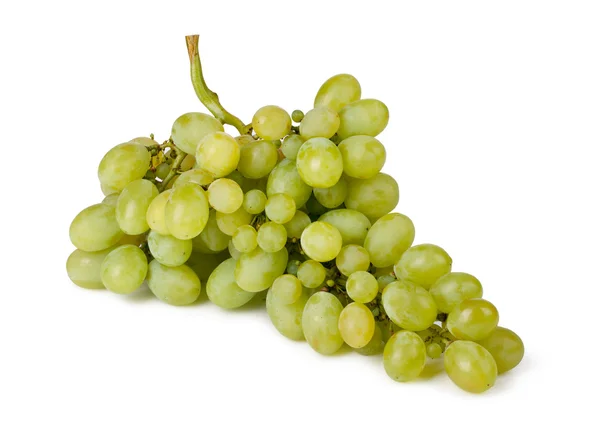 Branch of green grapes — Stock Photo, Image