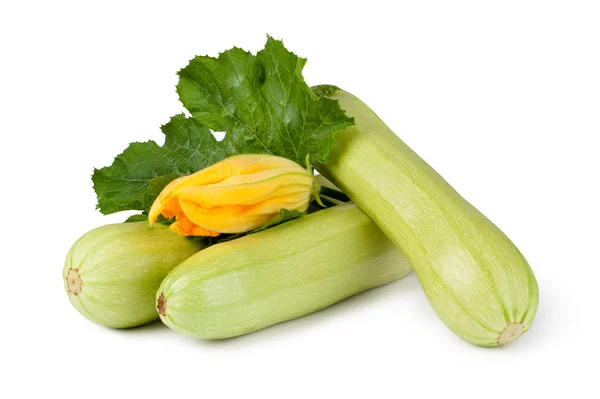 Färska grönsaker zucchini — Stockfoto