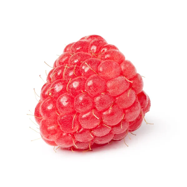 Himbeeren — Stockfoto