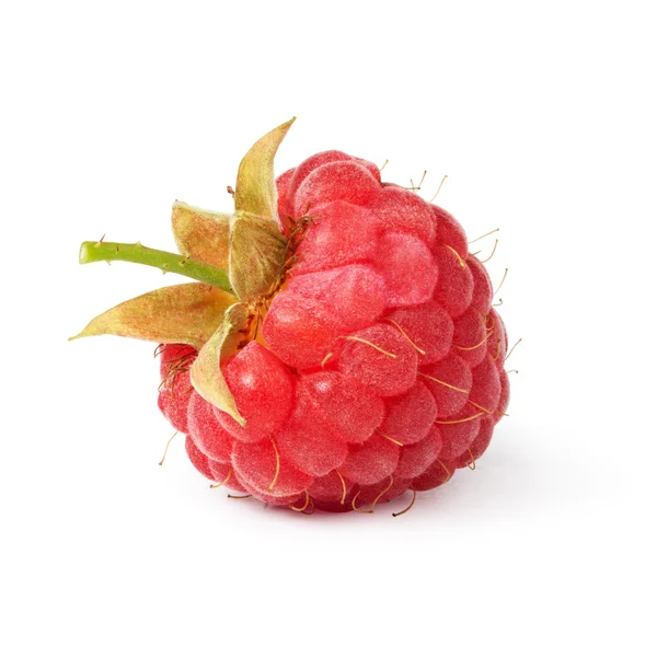 Raspberries — Stock Photo, Image