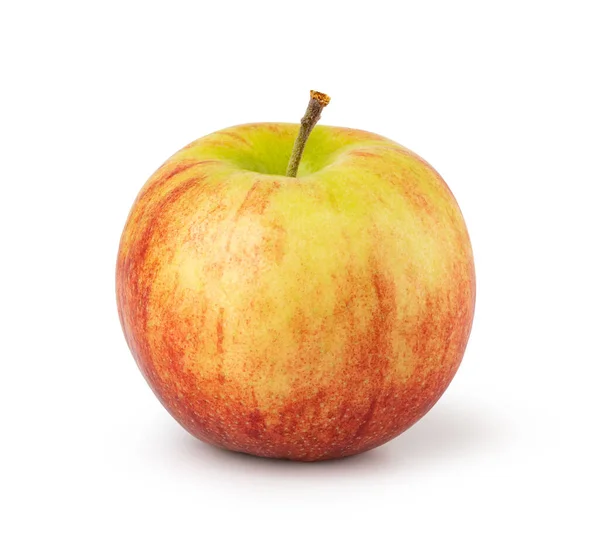 苹果果实在白色背景下被隔离 — 图库照片