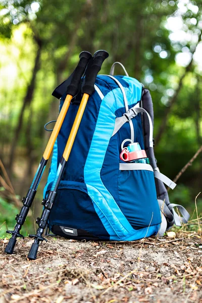 backpack and trekking poles in forest