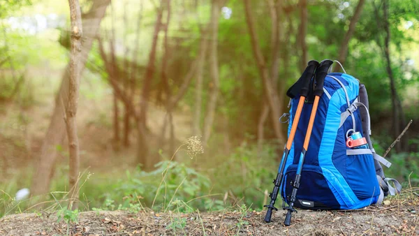 Backpack Trekking Poles Forest Royalty Free Stock Photos