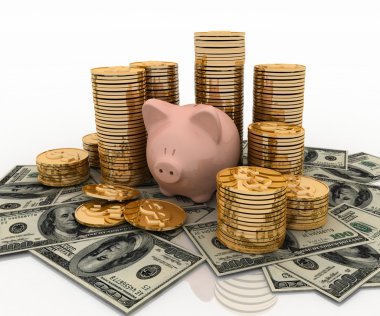 kumbara ve Doları, ekonomi kavramı