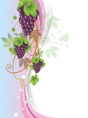 Beyaz arkaplanda vektör sarmaşığı