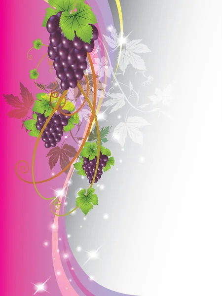 Вектор виноградна лоза — стоковий вектор