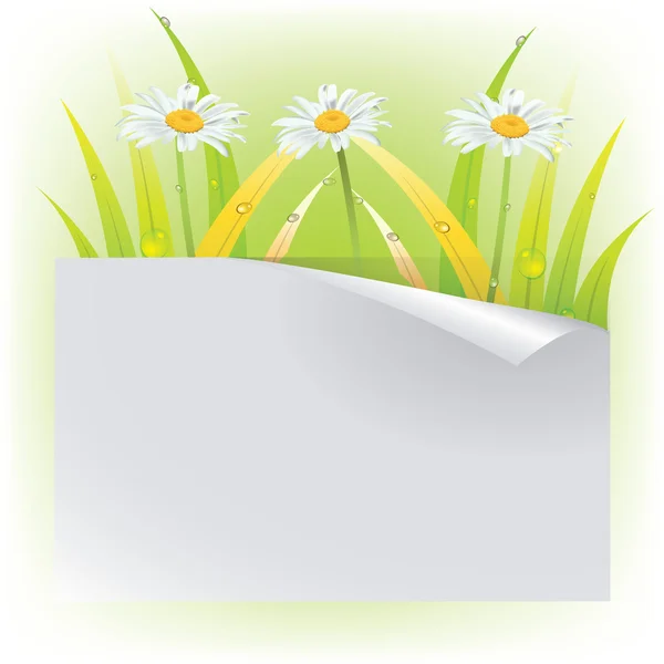 Belle carte avec fleurs et papillons — Image vectorielle