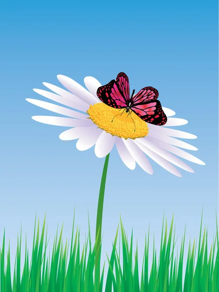 Motýl a daisy na modrém pozadí — Stockový vektor