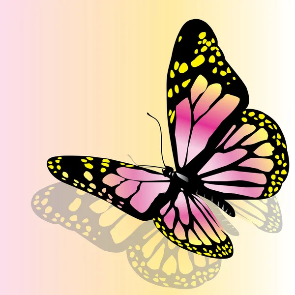 Vector butterfly — Stock Vector