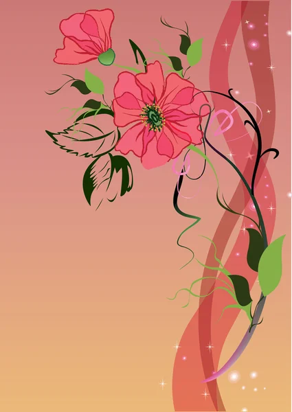 Beautiful vector illustration with flowers — Stock Vector