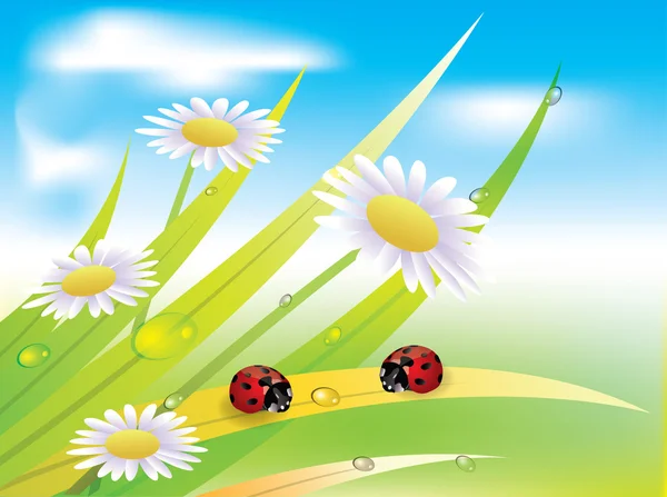 Vektör görüntü ladybug üzerindeki yaprak — Stok Vektör
