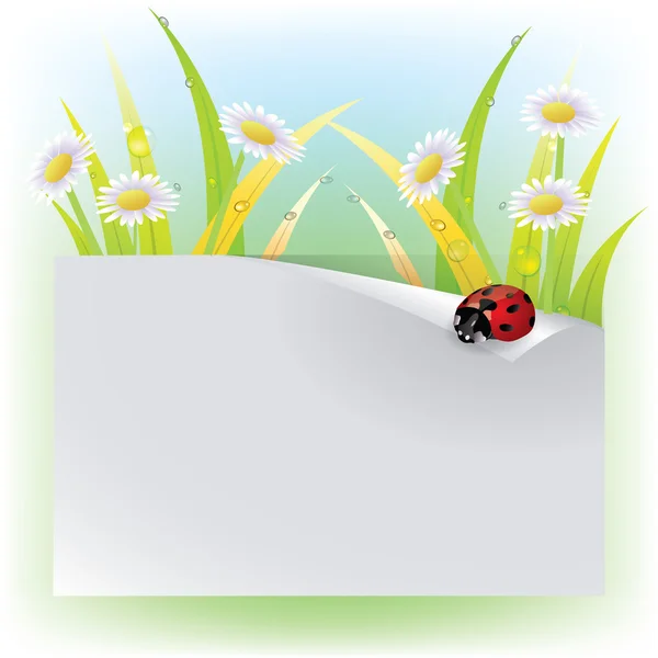Vector Image ladybug pe o frunză — Vector de stoc