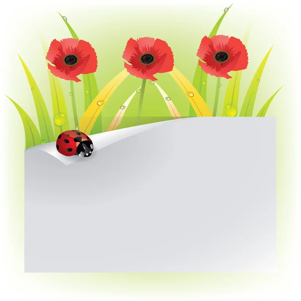 Red poppy with ladybugs — Stock Vector