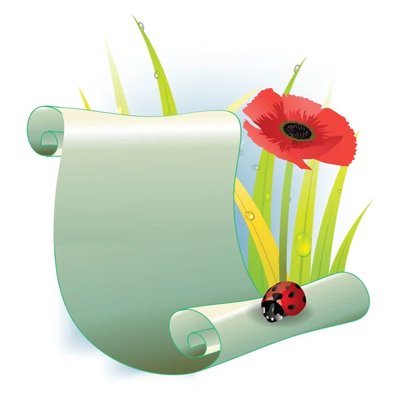 Red poppy with ladybugs — Stock Vector