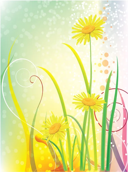 Beautiful vector illustration with flowers — Stock Vector