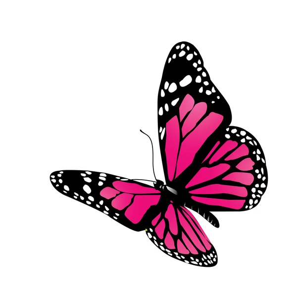 Vector vlinder — Stockvector