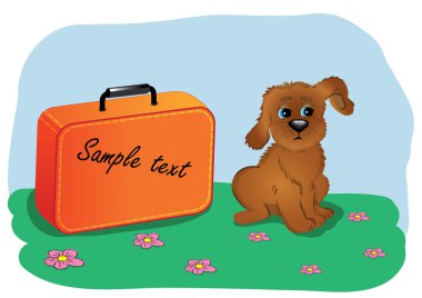 benim köpek ile tatil