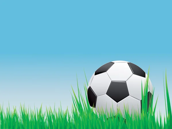 Soccer banner. Vector banner of soccer ball on green grass. — Stock Vector