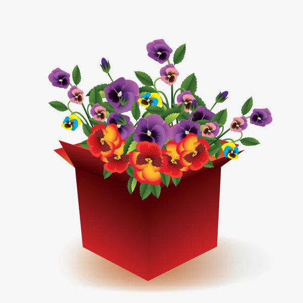 Open box with flowers — Stock Vector