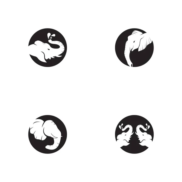 Ikona Słonia Wzór Wektora Symbolu Ilustracji — Wektor stockowy