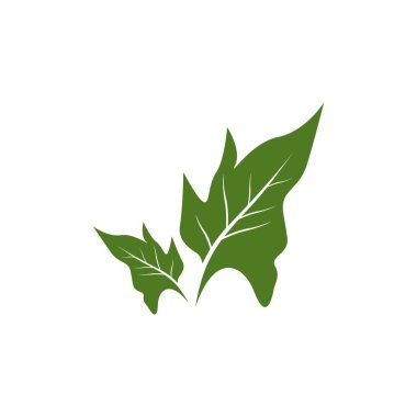 Doğa yaprağı simgesi ve sembol vektörü