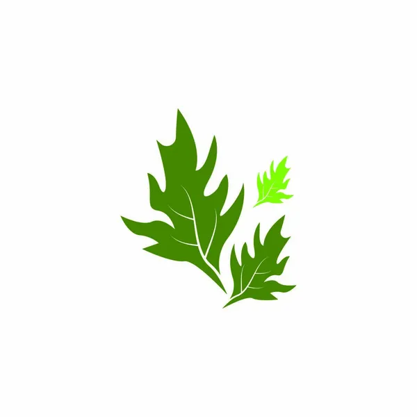 Natur Blatt Symbol Und Symbol Vorlagenvektor — Stockvektor