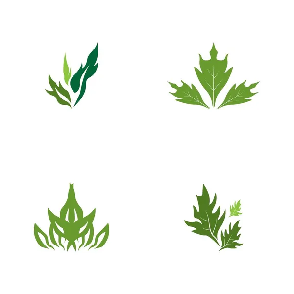Icône Feuille Nature Vecteur Modèle Symbole — Image vectorielle