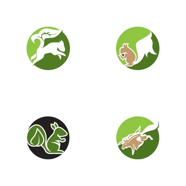 Ícone Esquilo Símbolo Ilustração Vetorial — Vetor de Stock