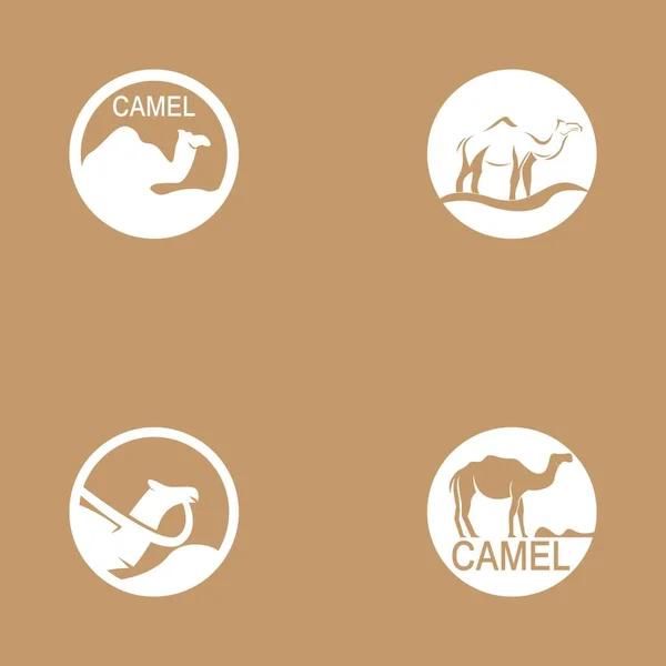 Camel Icon Vector Illustration Design — Stockvektor