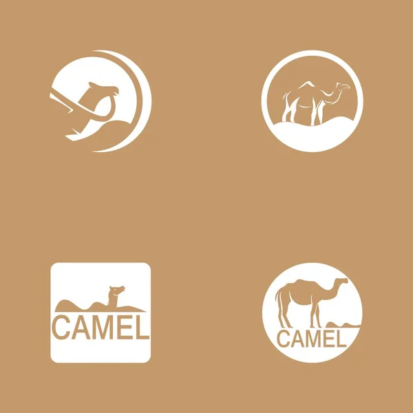 Camel Icon Vector Illustration Design — Stockvektor