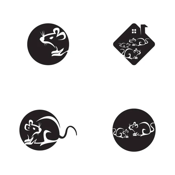 Rat Ikon Och Symbol Vektor Illustration — Stock vektor