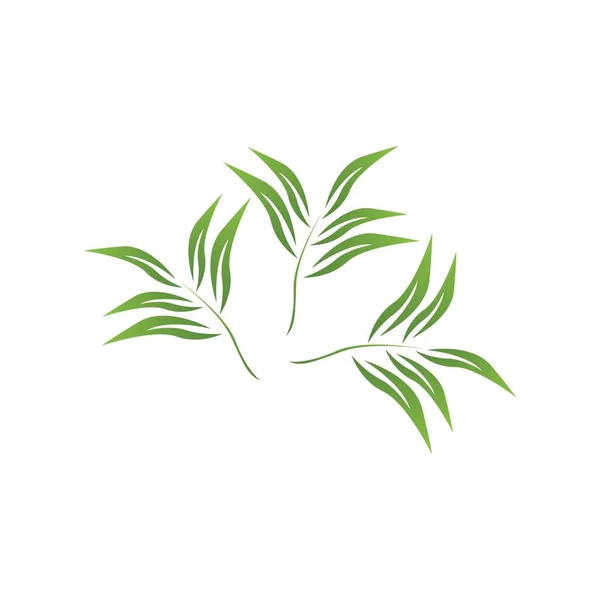 自然葉のアイコンとシンボルテンプレートベクトル — ストックベクタ