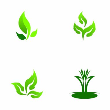 Doğa yaprağı simgesi ve sembol vektörü