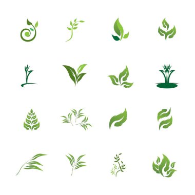 Doğa yaprağı simgesi ve sembol vektörü